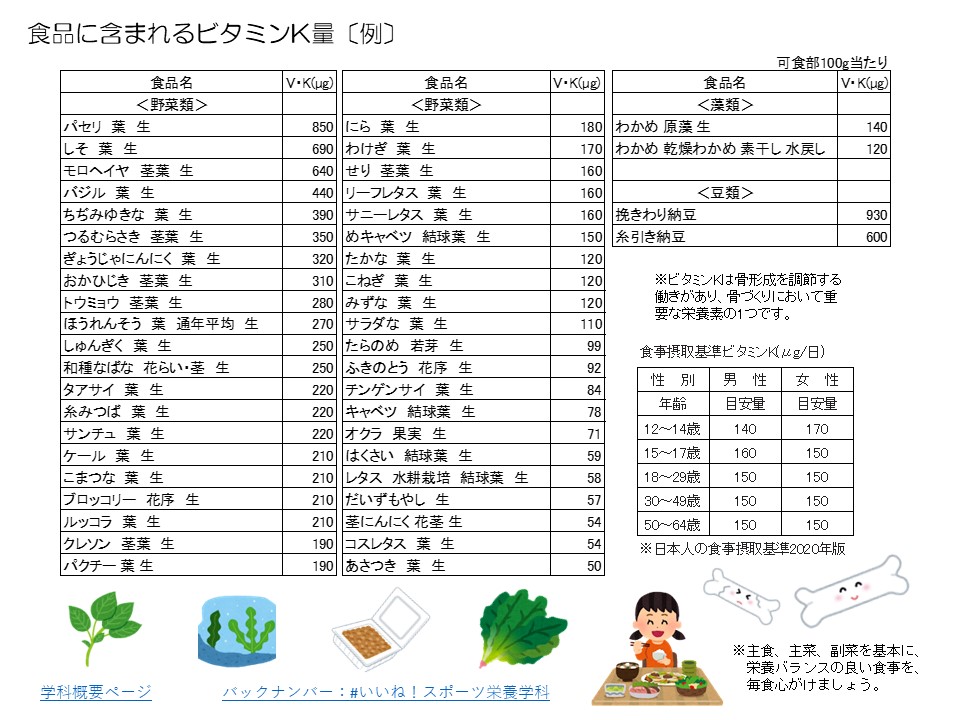 ガバペンティナ胚芽製薬のリーフレット